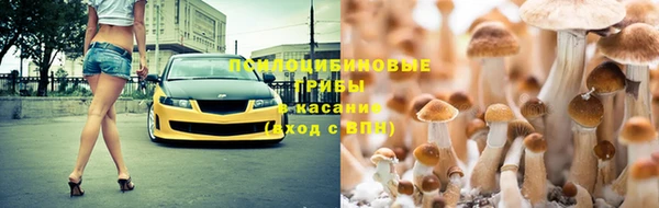 mix Аркадак