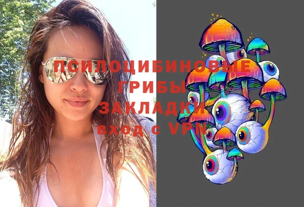 синтетический гашиш Арсеньев