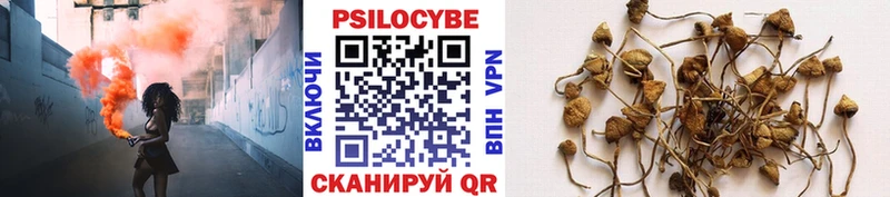 Галлюциногенные грибы прущие грибы  Ленск 